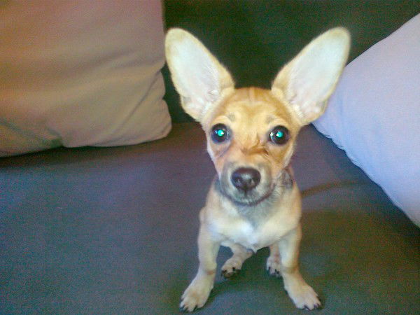 Неизвестно Неизвестно