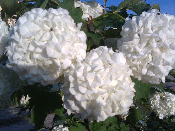 Наталья Краснова