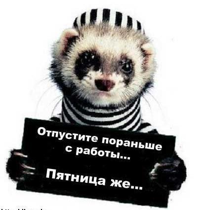 Артём Васильев