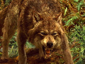 Александр Елфимов