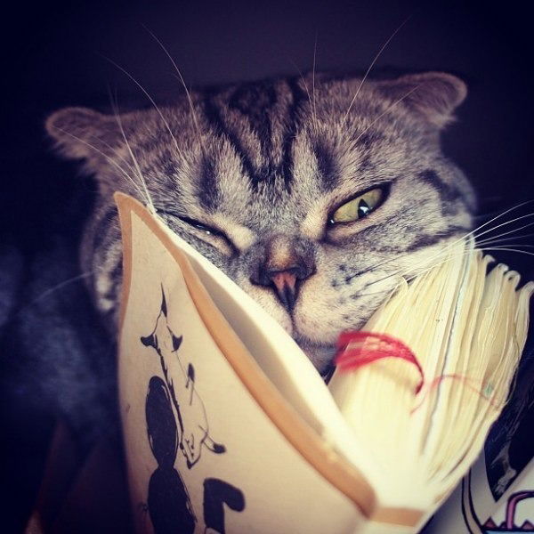 Екатерина Савельева