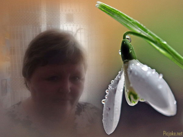 Елена Кривоносова