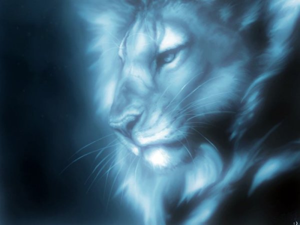 Инна Сергеева