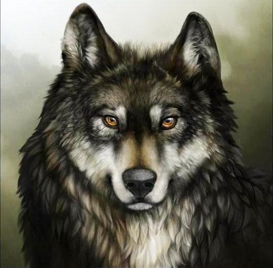 Сергей Голубник