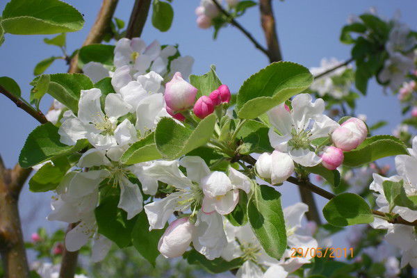 Татьяна Татьяна