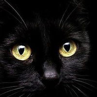 Елена Кузьмина