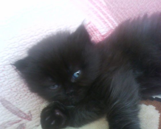 Екатерина @@