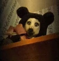 Артём Яковенко