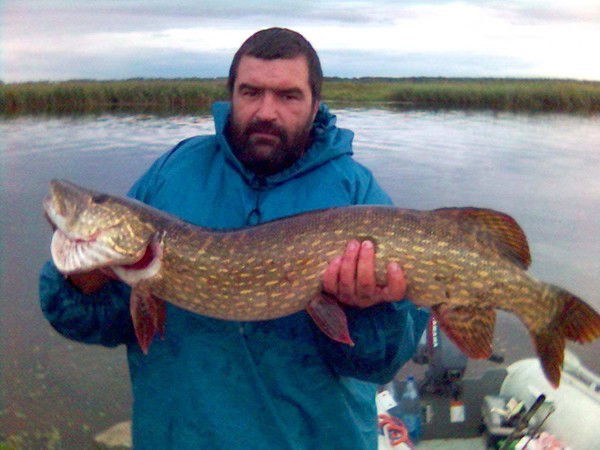 Андрей Чириков