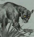 Наталия Купреева