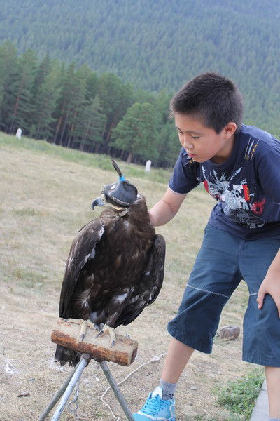 Даулет Шамшидин