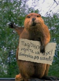 Неизвестно Неизвестно