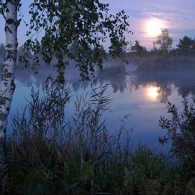 Лейла Газизова