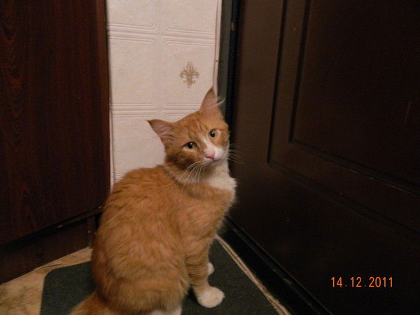 Виктория Осипова