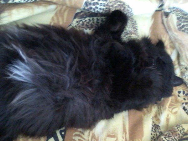 Ирина Попова