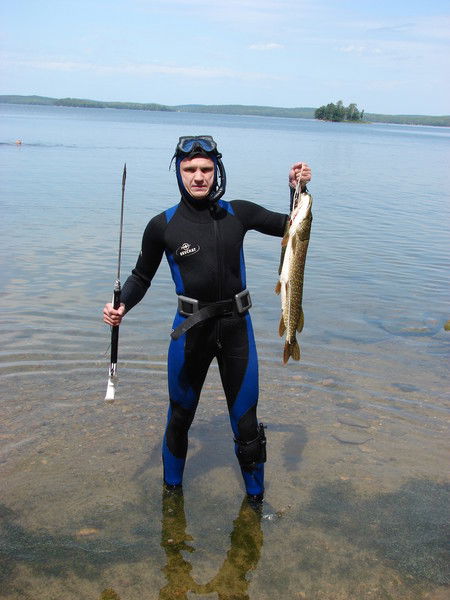 Алексей Кряжевских