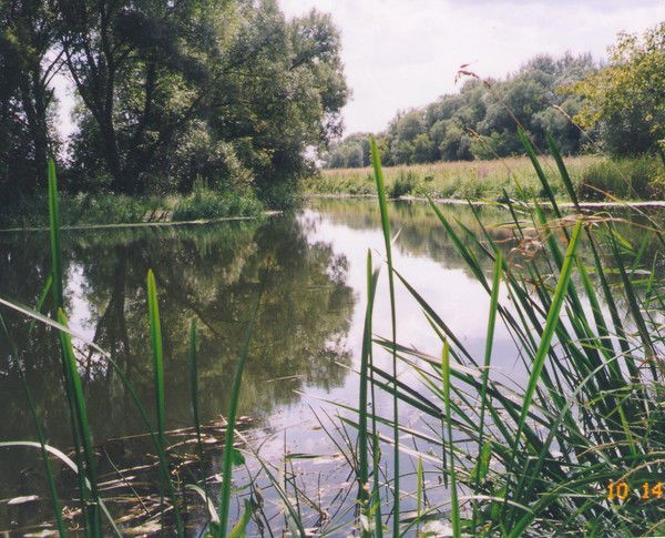 Анна Попова