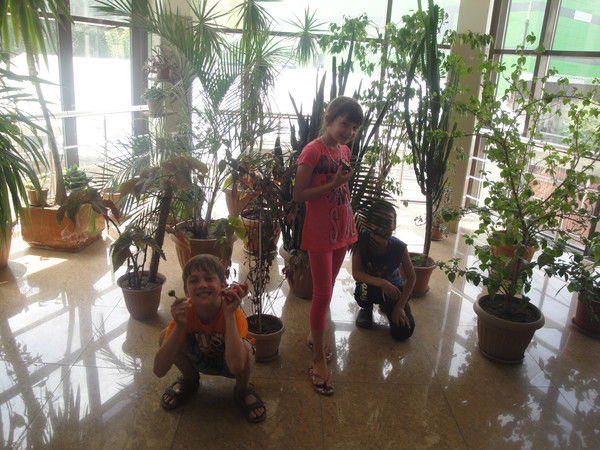 Анита Анита