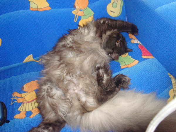 Александра Латышева