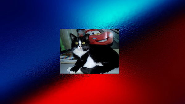 Никита Загоруйко