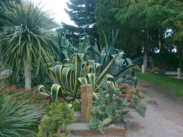 Людмила Лука