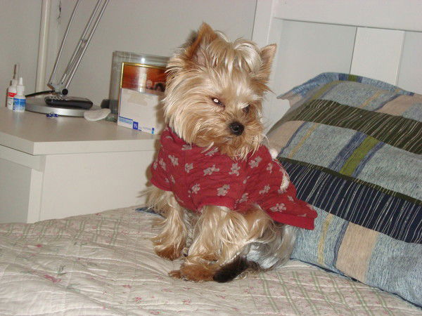 Сергей Ерохин