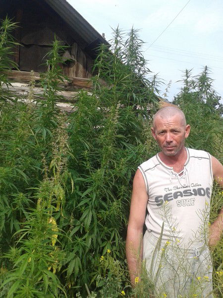 Владимир Сикорский