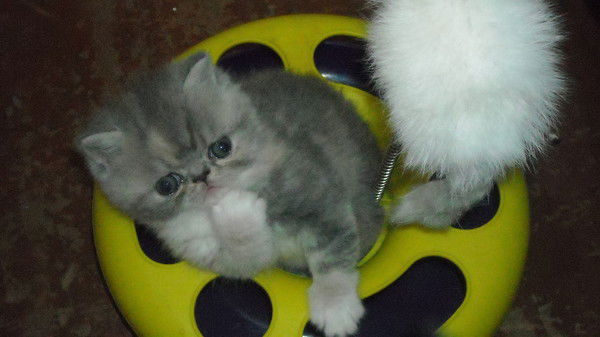 Татьяна Яковченко