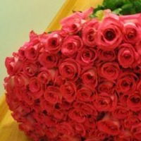 Тоня Харитонова