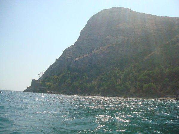 Татьяна Войтко