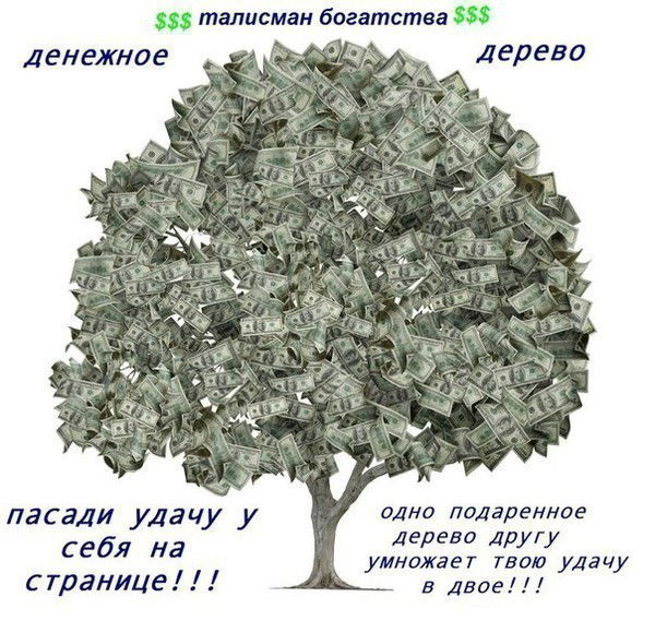 Юлия Цибульник