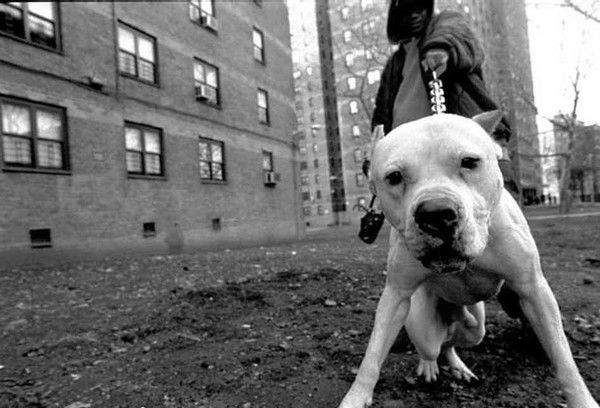 Тюряга ,окоп