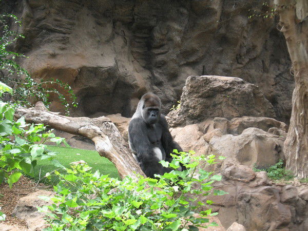 Алексей Москальчук