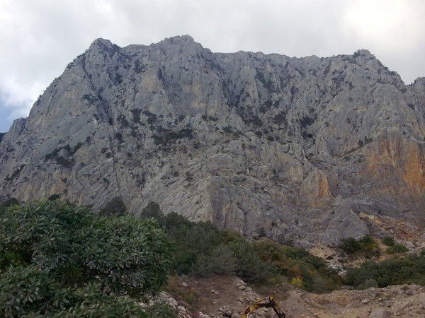 Николай Кобылянский