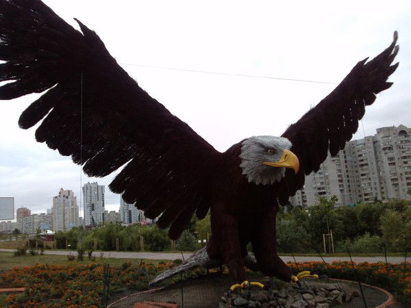 Владимир Глибко