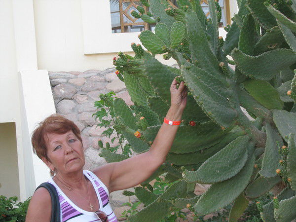 Нина Прилепская