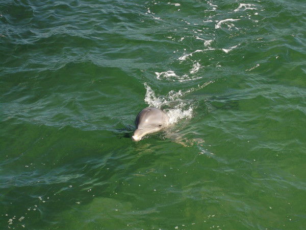 Татьяна Волегова