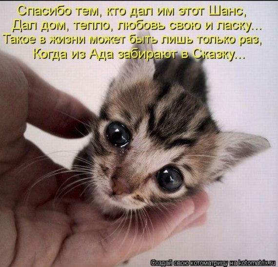 Дзахова Марина