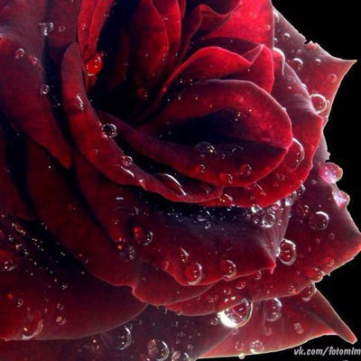 Маша Николаева