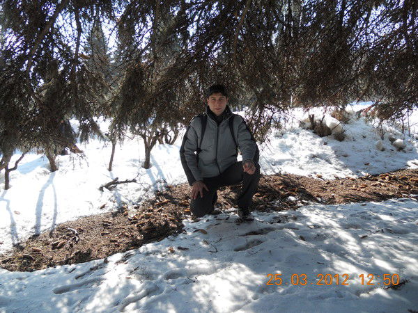 Александр Кадников