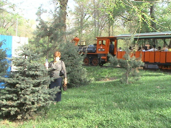 Светлана Давиденко