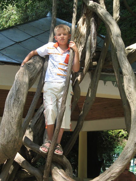 Кирилл Семенов