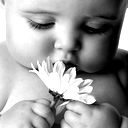 Mishany 1