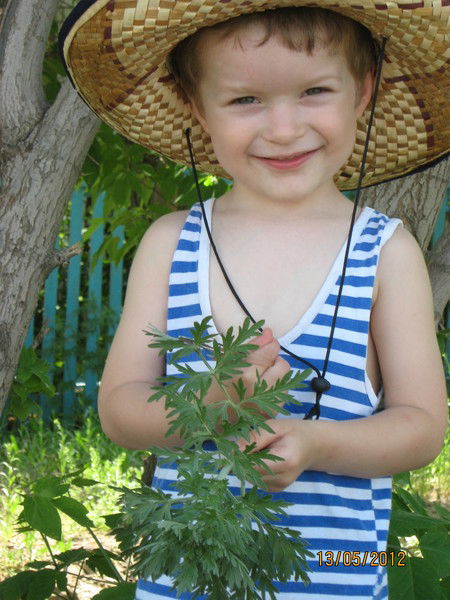 Людмила Азовскова