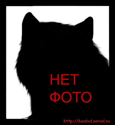 *** **клондайк*****