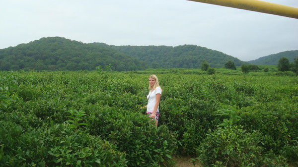 Людмила Пищухина