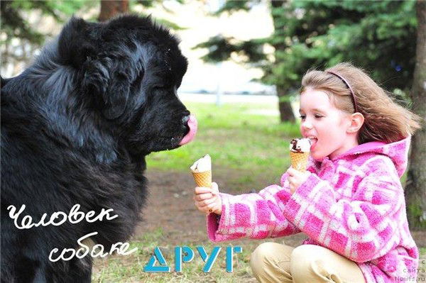 Редкий Полосик