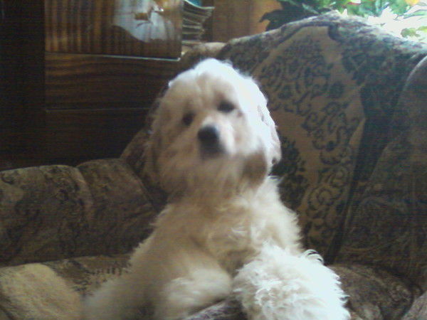 Наталья Кондакова