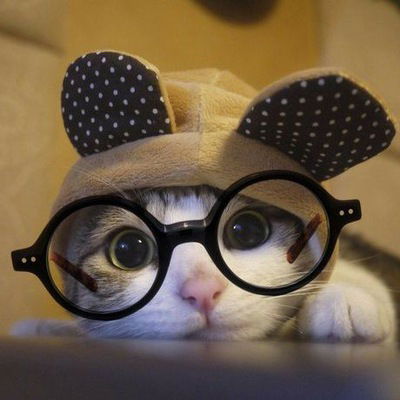 Альбина Идиятдинова