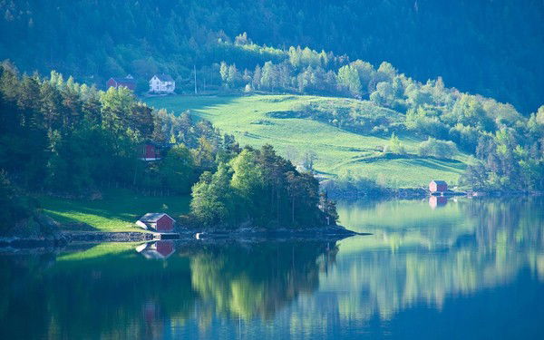 Елена Швецова